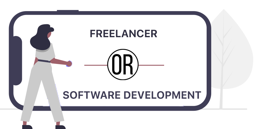 freelancer or software development company