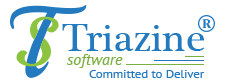 Triazine Software Pvt. Ltd.